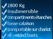 2800 Kg, inaffondabile, comparti stagni, basso pescaggio, carellabile, all welded boats