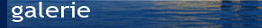 Fotogallery pontoon boats